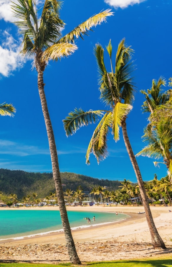 Airlie Beach, Whitsunday Coast, Queensland © Tourism Whitsundays