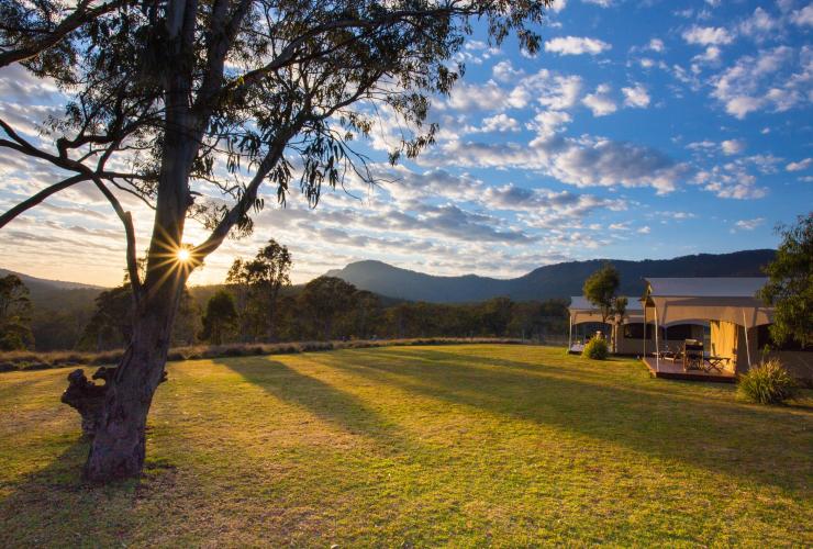 Scenic Rim Trail by Spicers, Spicers Canopy Camp, Main Range National Park, Queensland © Spicers Retreats, Great Walks of Australia