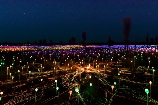 Uluru Field of Light, NT © Tourism Australia