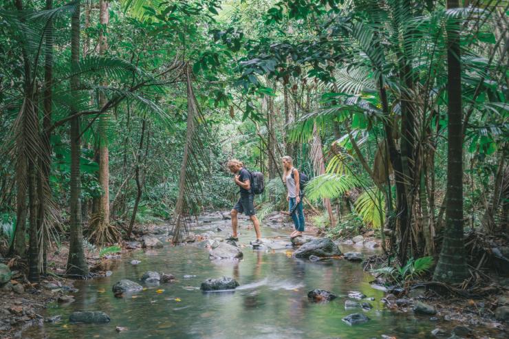  Giovane coppia su un sentiero escursionistico attraverso la Daintree Rainforest © Tourism Tropical North Queensland