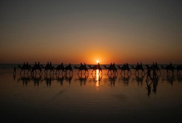 Una carovana di cammelli costeggia Cable Beach a Broome al tramonto © Tourism Australia