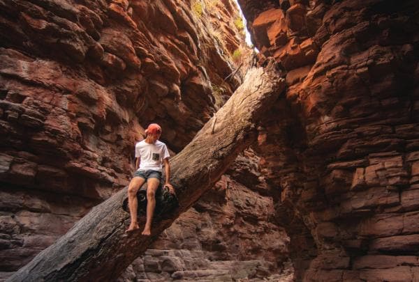 Alligator Gorge, Flinders Ranges, South Australia © Mitchell Toft