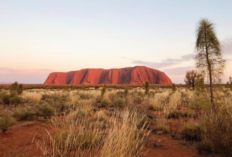 Uluru, Uluru-Kata Tjuta National Park, Red Centre, Northern Territory © Tourism NT