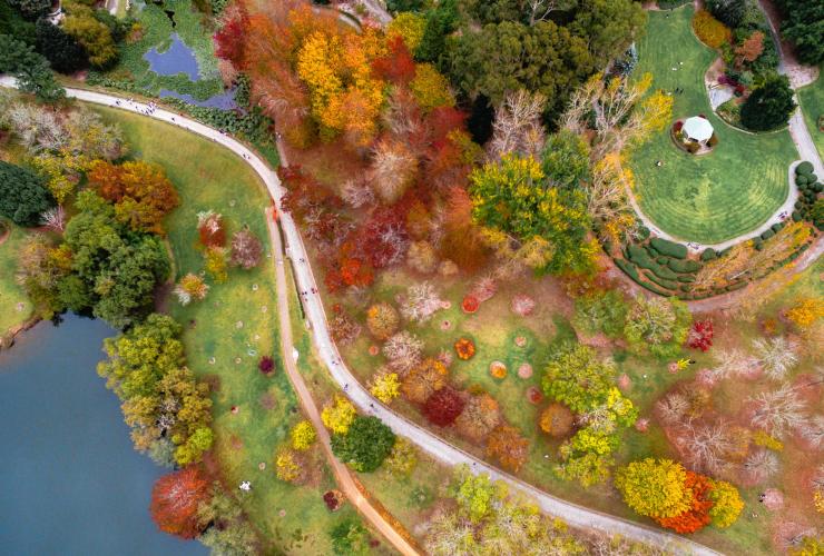 Vista aerea del Mount Lofty Botanic Garden © South Australia