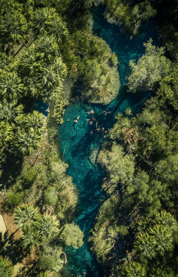Vista aerea di un gruppo di persone che nuotano nell'acqua dal colore azzurro scintillante tra le palme a Bitter Springs, Mataranka, Northern Territory © Tourism NT/Jason Charles Hill