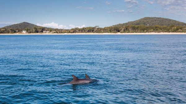 Nelson Bay, Port Stephens, New South Wales © Destination NSW