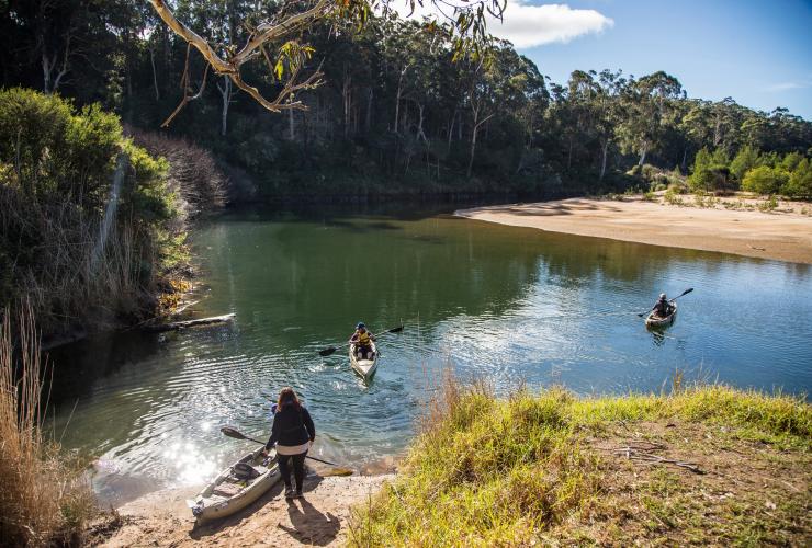 Towamba River, Kiah, New South Wales © Destination NSW
