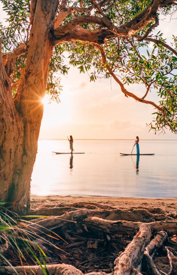 クイーンズランド州、ヌーサ、パドルボード © Tourism and Events Queensland