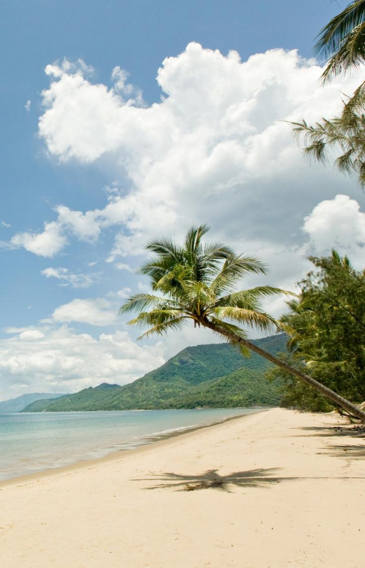 クイーンズランド州、ポート・ダグラス、ターラ・ビーチ © Tourism Port Douglas and Daintree