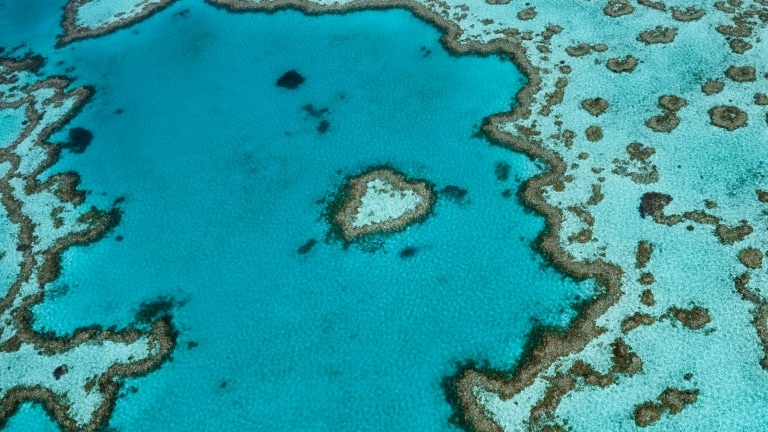Heart Reef, Great Barrier Reef, QLD. © Tourism and Events Queensland