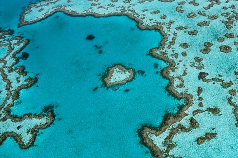 Heart Reef, Great Barrier Reef, QLD. © Tourism and Events Queensland