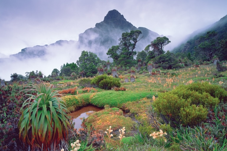 タスマニア州、マウント・アン © Tourism Tasmania