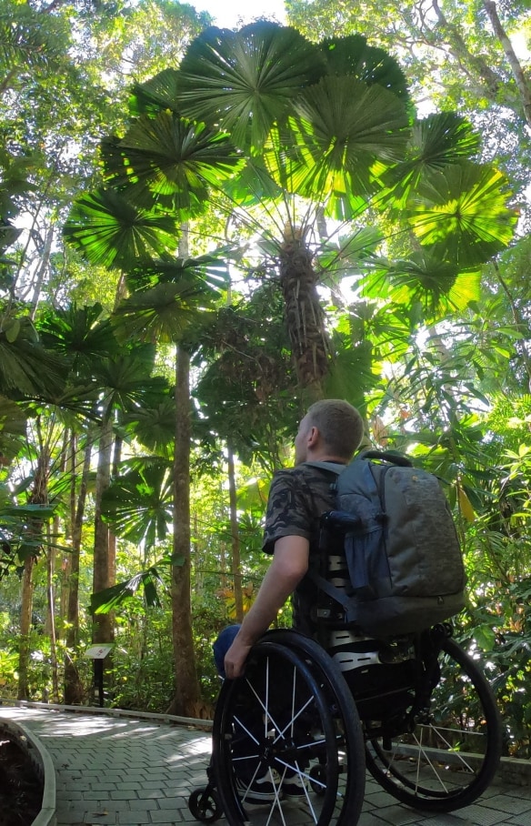 Man in a wheelchair looking up at the canopy of the Daintree Rainforest in Queensland © Tourism and Events Queensland