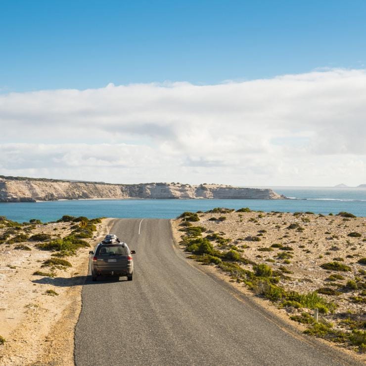 コフィン・ベイ国立公園の海沿いの道路を走る車 © Rob Blackburn/Tourism Australia