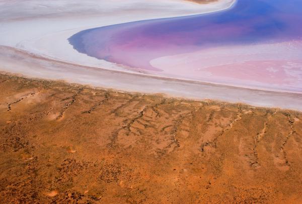 南オーストラリア州、エア湖国立公園、エア湖（Lake Eyre）© South Australian Tourism Commission