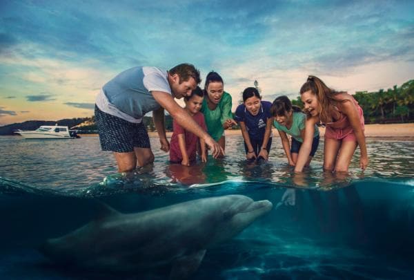 クイーンズランド州、モートン島、タンガルーマ・アイランド・リゾートの野生のイルカの餌付け © Brisbane Marketing