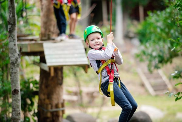 クイーンズランド州、タンボリン・マウンテン、ツリートップ・チャレンジ © Treetop Challenge