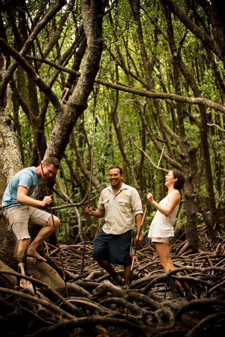 ウォークアバウト・カルチュラル・アドベンチャーズの熱帯雨林ツアーに参加するカップル © James Fisher
