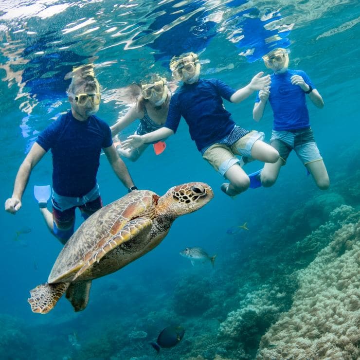 ケアンズ近郊でウミガメと一緒にシュノーケリングする家族 © Tourism and Events Queensland