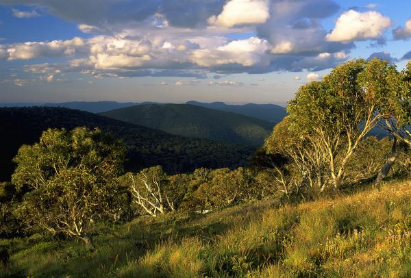 オーストラリア首都特別地域、ナマジ国立公園 © VisitCanberra
