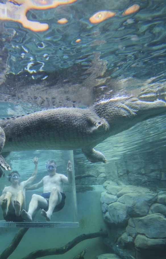 ノーザンテリトリー、ダーウィン、クロコザウルス・コーブ © Tourism Australia