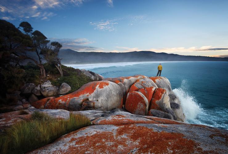 タスマニア州、フレシネ国立公園、ベイ・オブ・ファイアー © Tourism Tasmania, Stuart Crossett