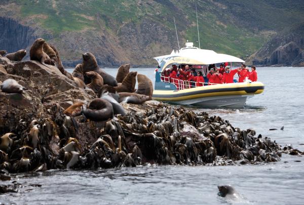 タスマニア州、ブルーニー島、ペニコット・ウィルダネス・ジャーニーズ、ブルーニー島クルーズ © Tourism Tasmania, Joe Shemesh