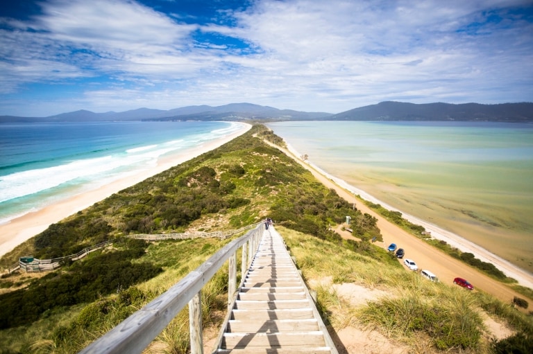 タスマニア州、ブルーニー島、ザ・ネック © Tourism Tasmania