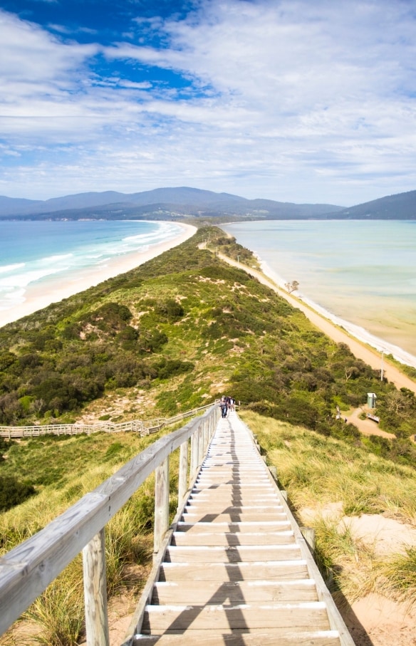 タスマニア州、ブルーニー島、ネックビーチ © Tourism Tasmania