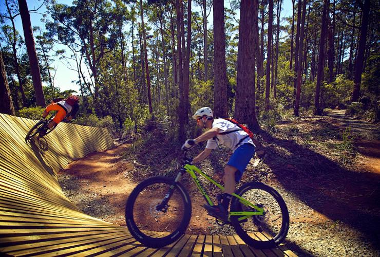 タスマニア州、アンダーウッド、ホーリーバンク・マウンテンバイク・パーク © Tourism Tasmania & supplied courtesy of Flow Mountain Bike