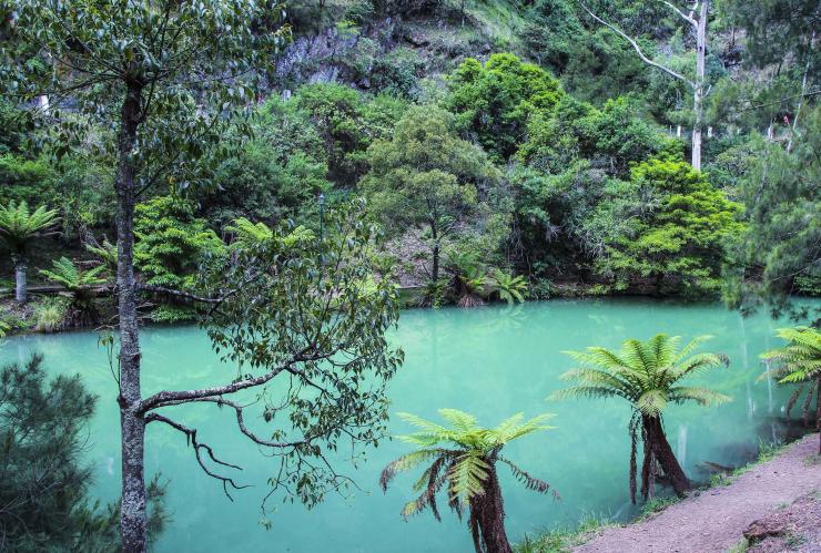 ニュー・サウス・ウェールズ州、ブルー・マウンテンズ、ジェノラン鍾乳洞（Jenolan Caves）、ブルー・レイク（Blue Lake）© Destination NSW