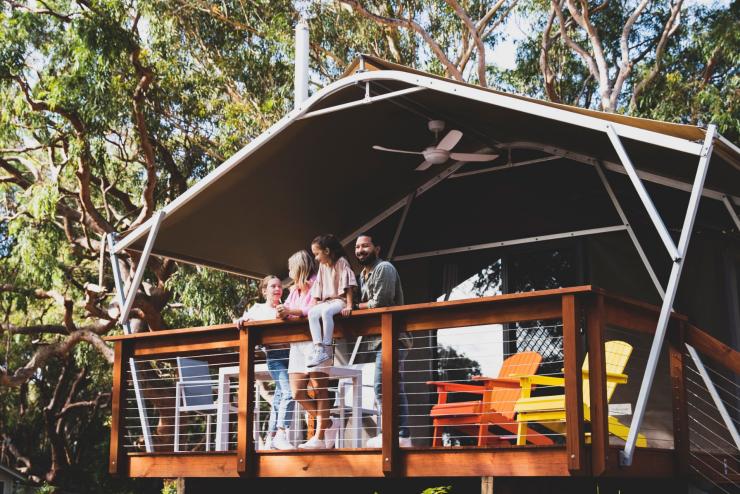 ニュー・サウス・ウェールズ州、ワン・マイル、コアラ・サンクチュアリ・ポート・スティーブンス © Destination NSW ニュー・サウス・ウェールズ州、ワン・マイル、コアラ・サンクチュアリ・ポート・スティーブンス © Destination NSW