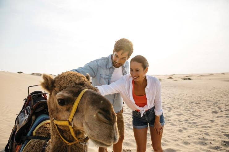 ニュー・サウス・ウェールズ州、ポート・スティーブンス、ラクダ乗り © Destination New South Wales ニュー・サウス・ウェールズ州、ポート・スティーブンス、ラクダ乗り © Destination New South Wales