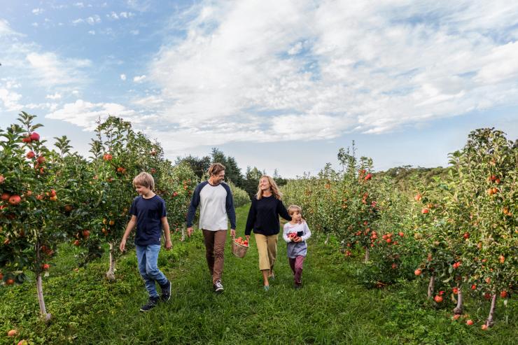 ニュー・サウス・ウェールズ州、ビルピン、シールズ・オーチャードを楽しむ家族 © Destination NSW