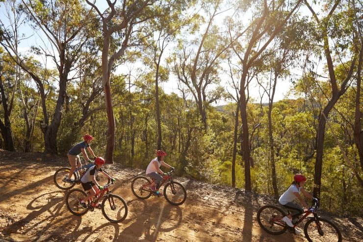 ニュー・サウス・ウェールズ州、ブルー・マウンテンズ、マウンテンバイク © Destination NSW