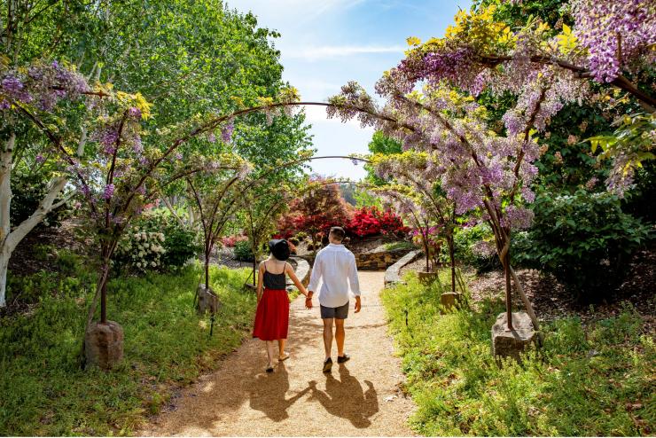 ニュー・サウス・ウェールズ州、オベロン、メイフィールド・ガーデン © Destination NSW