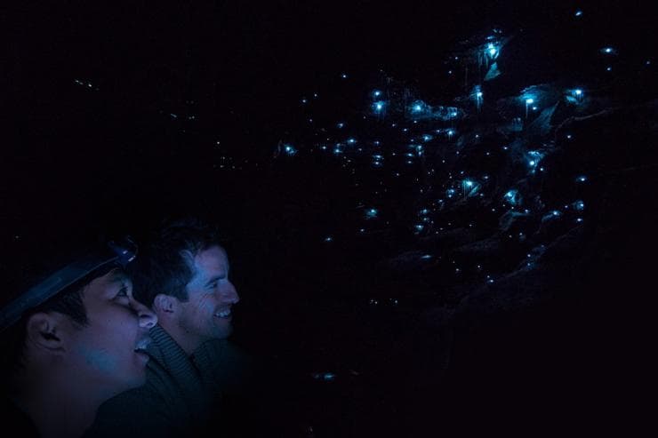  ニュー・サウス・ウェールズ州、ブルー・マウンテンズ、ブルー・マウンテンズ・グロー・ワーム・ツアーズ © Blue Mountains Glow Worm Tours