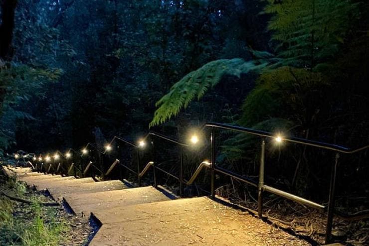 ニュー・サウス・ウェールズ州、カトゥーンバ フォールズ・ナイトライト・ウォーク © DNSW