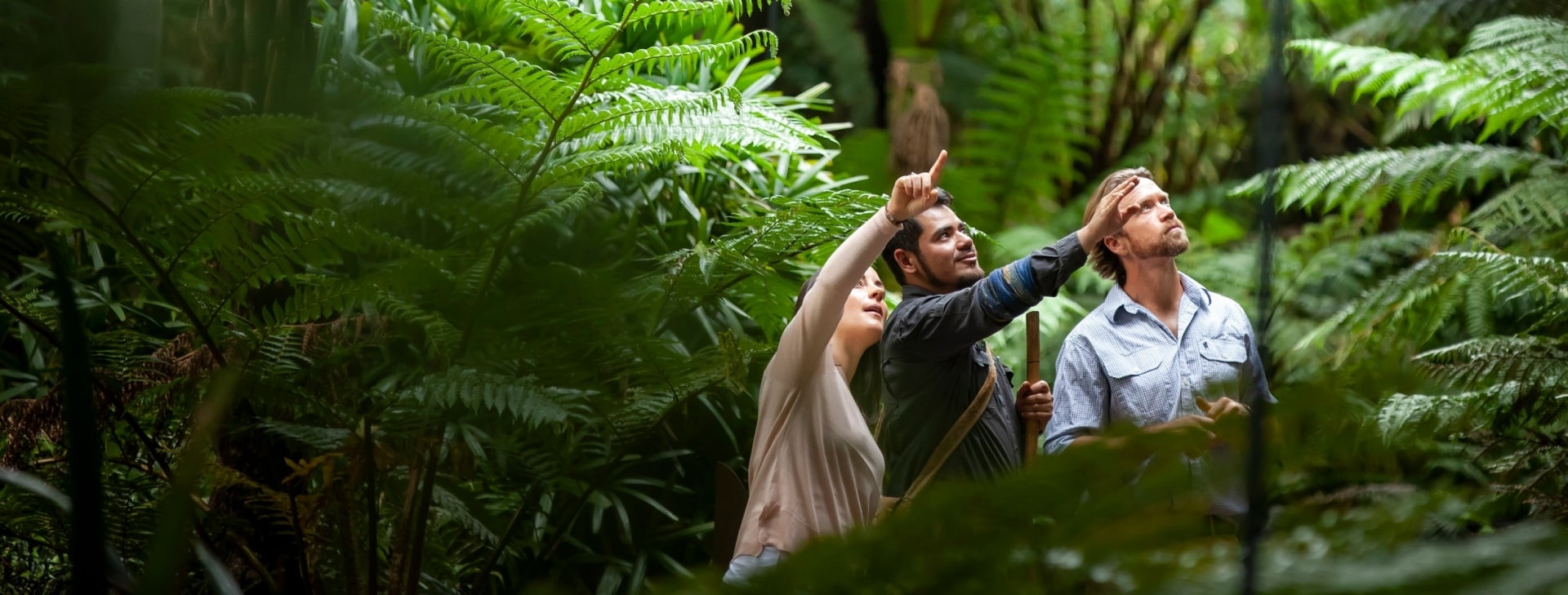 ビクトリア州、メルボルン、王立植物園でのアボリジナル・ヘリテージウォーク © Tourism Australia