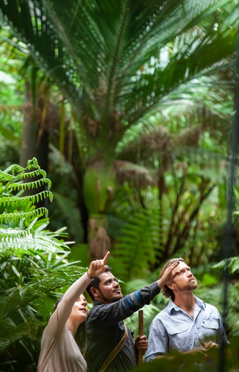 ビクトリア州、メルボルン、王立植物園でのアボリジナル・ヘリテージウォーク © Tourism Australia