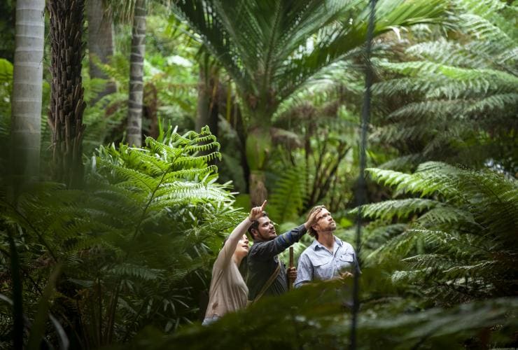 ビクトリア州、メルボルン、王立植物園でのアボリジナル・ヘリテージ・ツアー © Archie Sartracom, Tourism Australia