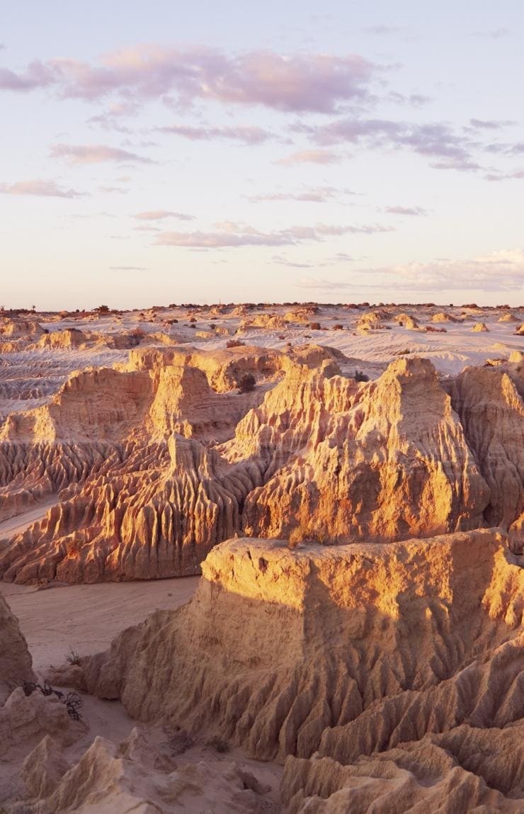ニュー・サウス・ウェールズ州、マンゴ国立公園、ウォールズ・オブ・チャイナ、日没時のマンゴ国立公園にてオフホワイトの砂質泥岩が広がる砂丘 © Destination NSW