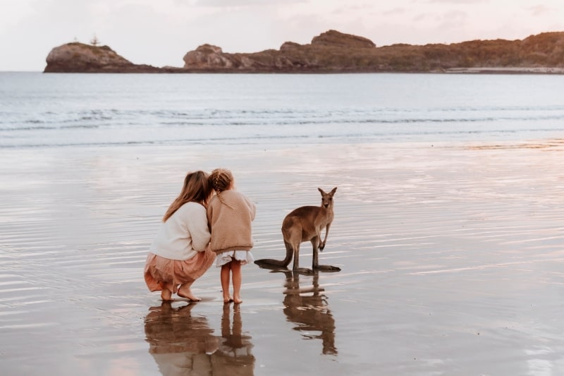  クイーンズランド州、マッカイ地域、ケープ・ヒルズボロー © Tourism and Events Queensland