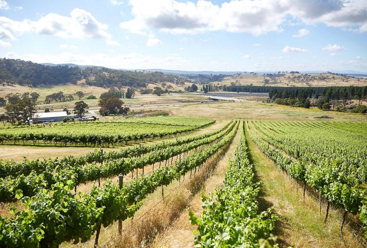 オーストラリア首都特別地域、キャンベラ地方のワイン産地