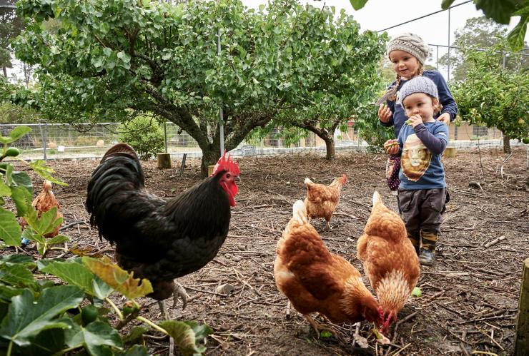 バーンサイド・オーガニック・ファームでニワトリに餌を与える子供たち © Burnside Organic Farm/Frances Andrijich