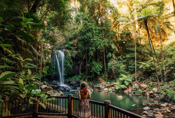タンボリン国立公園でカーティス・フォールの滝を眺める女性 © Tourism and Events Queensland