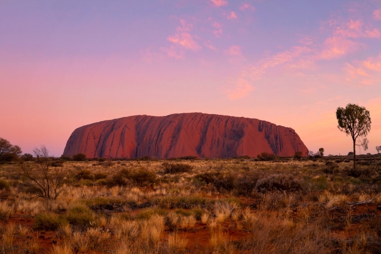 ノーザンテリトリー、ウルル、ウルル・アストロ・ツアー © Tourism NT/Tourism Australia