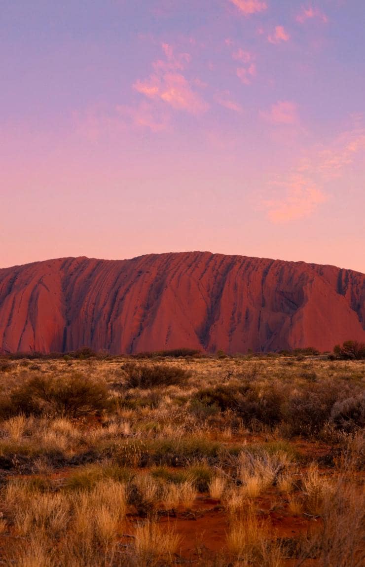 ノーザンテリトリー、ウルル、ウルル・アストロ・ツアー © Tourism NT/Tourism Australia