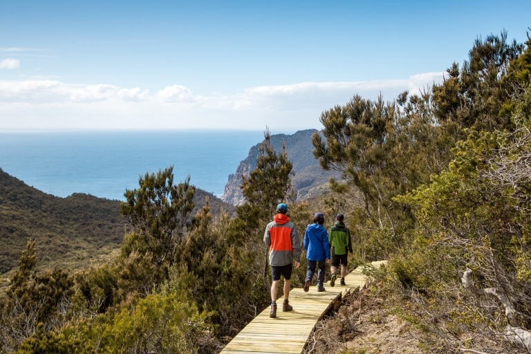 タスマニア州、タスマン半島、スリー・ケープス・シグネチャー・ウォーク © Tasmania Parks and Wildlife Service