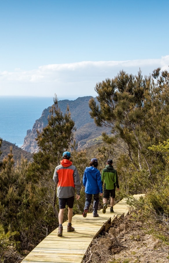 タスマニア州、タスマン半島、スリー・ケープス・シグネチャー・ウォーク © Tasmania Parks and Wildlife Service